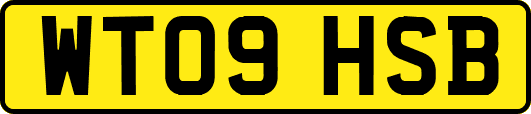 WT09HSB