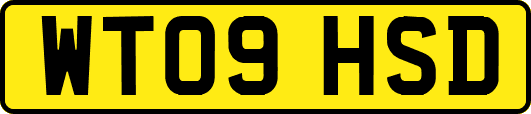 WT09HSD