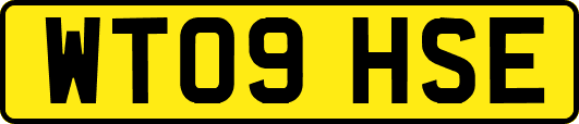 WT09HSE
