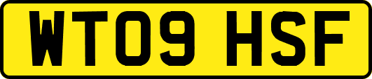 WT09HSF