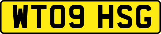 WT09HSG