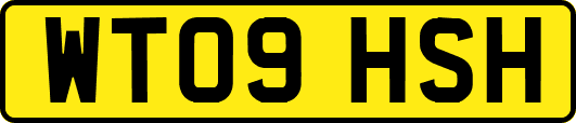 WT09HSH