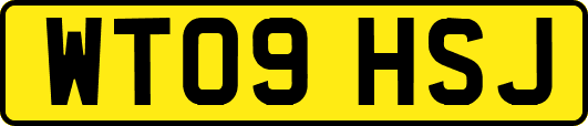 WT09HSJ