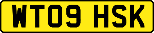 WT09HSK