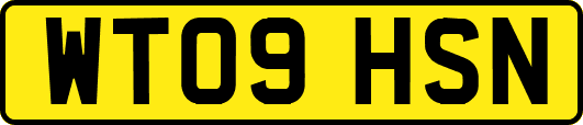 WT09HSN