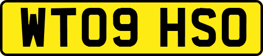 WT09HSO
