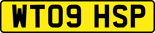 WT09HSP