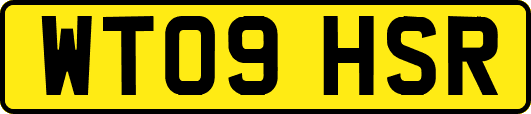WT09HSR