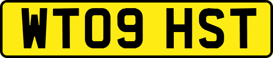 WT09HST