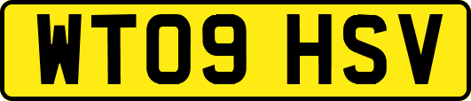 WT09HSV