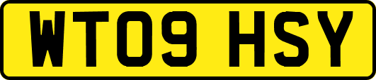 WT09HSY
