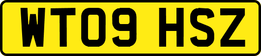 WT09HSZ