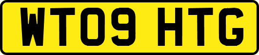 WT09HTG