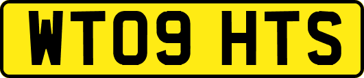 WT09HTS
