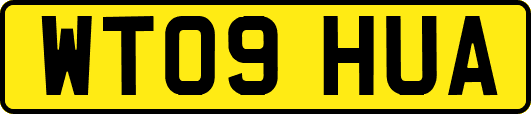 WT09HUA