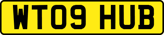 WT09HUB