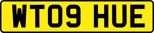 WT09HUE