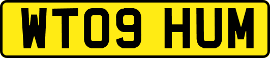 WT09HUM