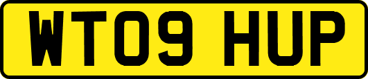 WT09HUP