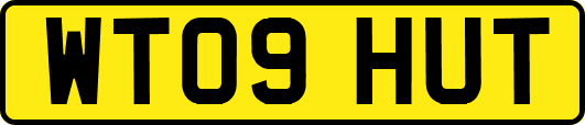 WT09HUT