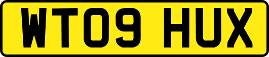 WT09HUX