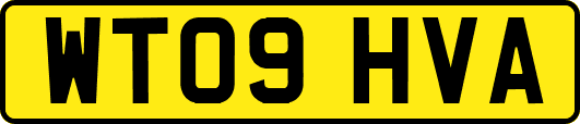 WT09HVA