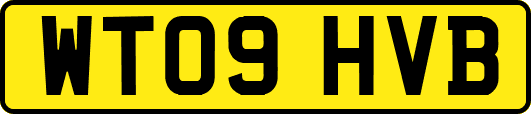 WT09HVB
