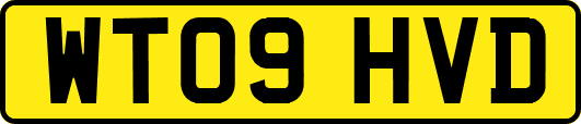 WT09HVD