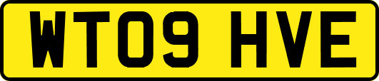 WT09HVE