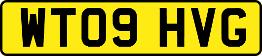 WT09HVG