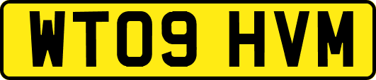 WT09HVM