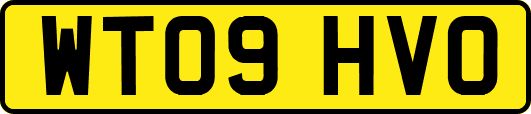 WT09HVO