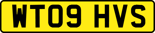 WT09HVS
