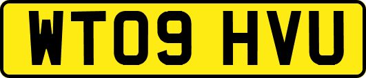 WT09HVU