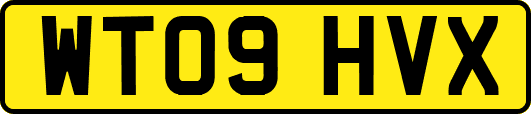 WT09HVX