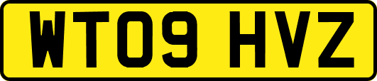 WT09HVZ