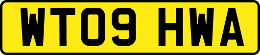 WT09HWA