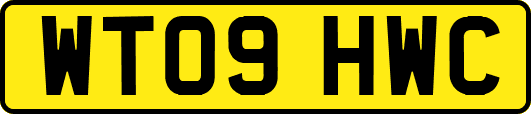 WT09HWC