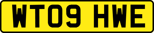 WT09HWE