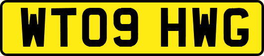 WT09HWG