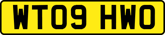 WT09HWO