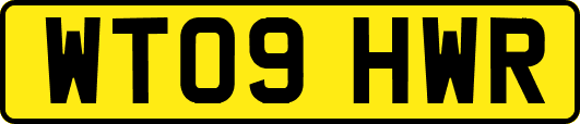 WT09HWR