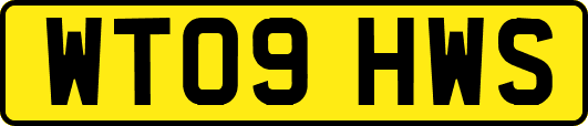 WT09HWS