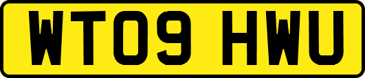 WT09HWU