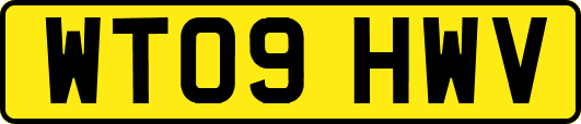 WT09HWV