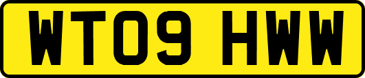 WT09HWW