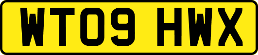 WT09HWX