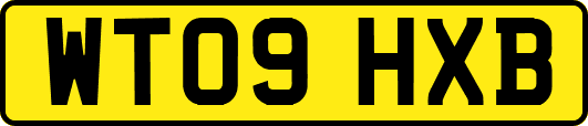 WT09HXB