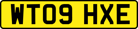 WT09HXE