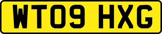 WT09HXG